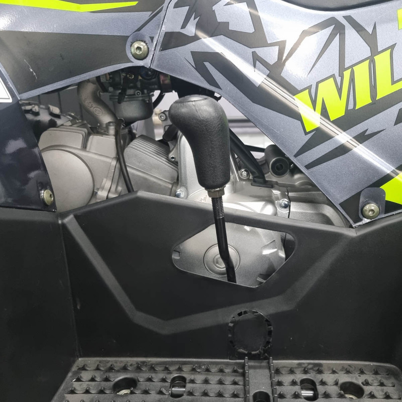 Стильный квадроцикл 125 Wild A для начинающих