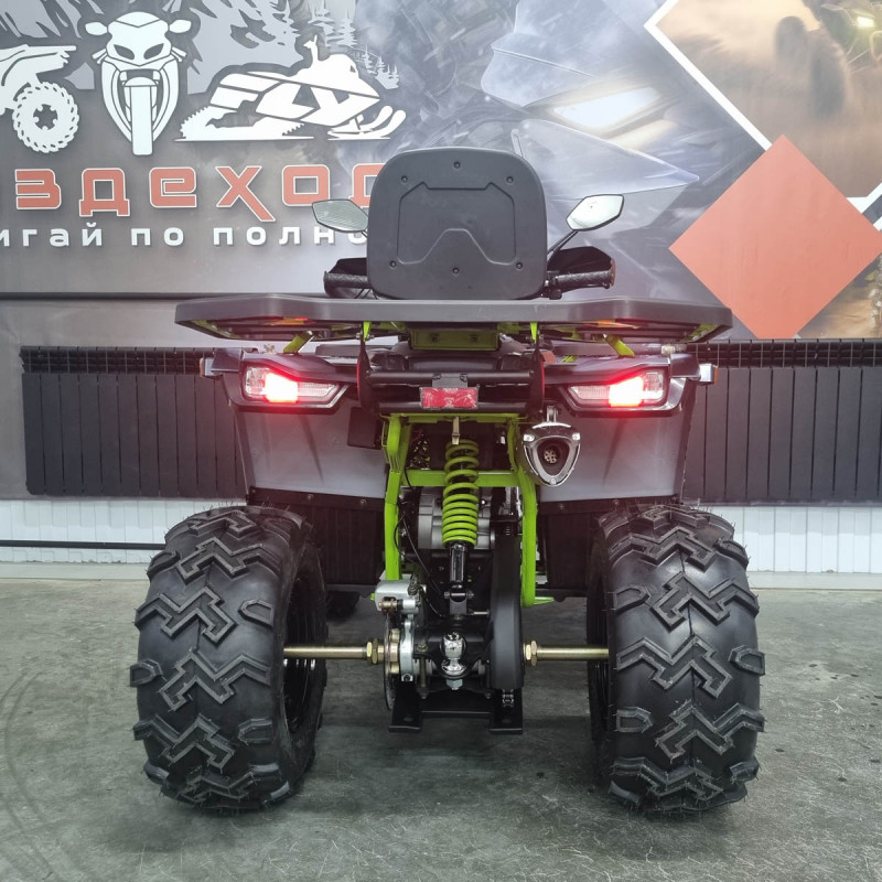 Универсальный квадроцикл 200 Wild Track X Winch для активного отдыха