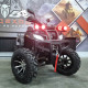 Легкий в управлении квадроцикл Yamaha Grizzly 250 черный