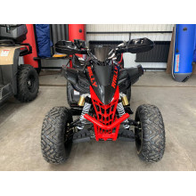 Спортивный квадроцикл MotoLand ATV 250 Rally для гонок